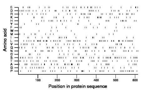 amino acid map