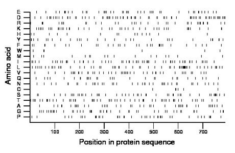 amino acid map