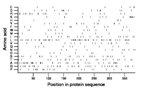 amino acid map