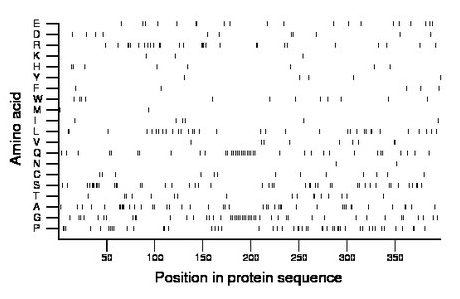 amino acid map