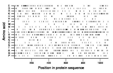 amino acid map