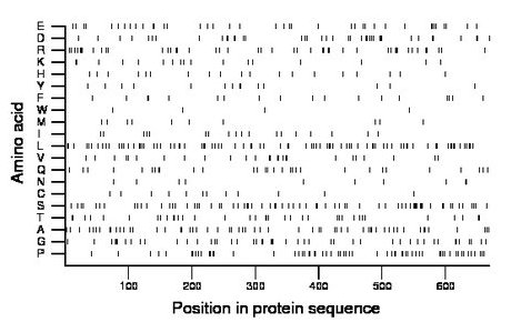 amino acid map