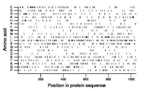 amino acid map