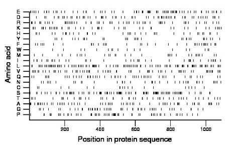 amino acid map