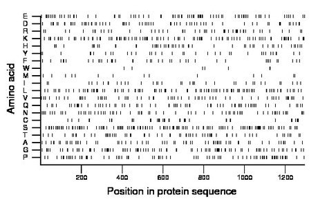 amino acid map