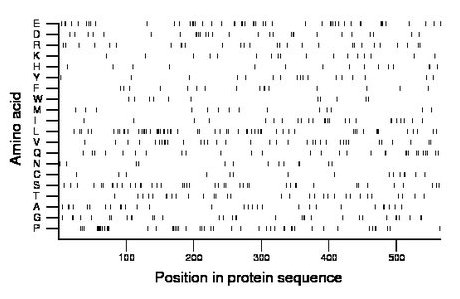 amino acid map