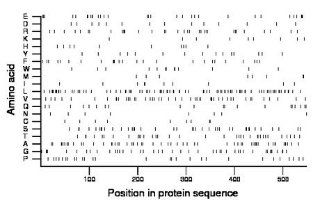 amino acid map