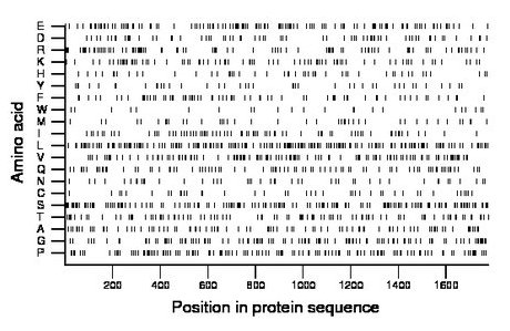 amino acid map