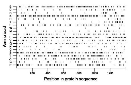 amino acid map