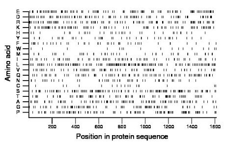 amino acid map