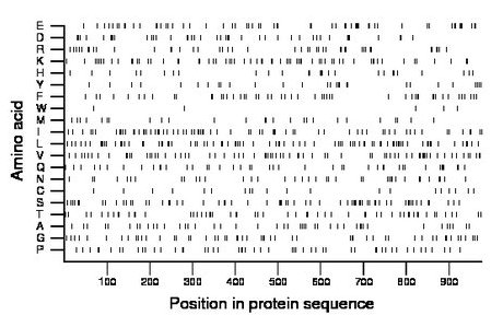 amino acid map