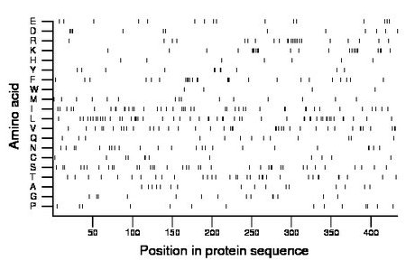 amino acid map