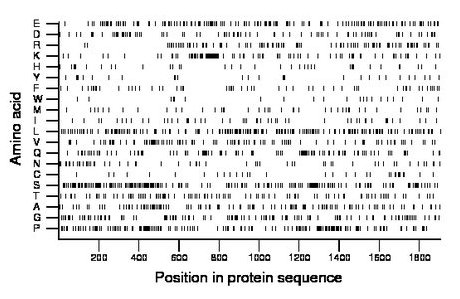 amino acid map