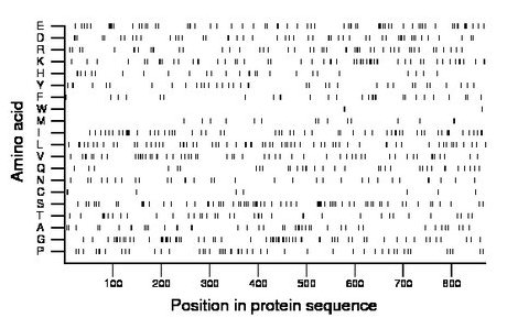 amino acid map