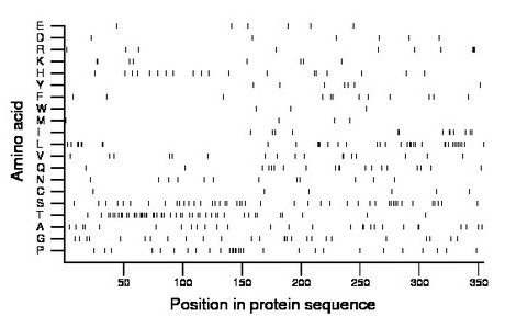 amino acid map