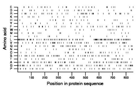 amino acid map