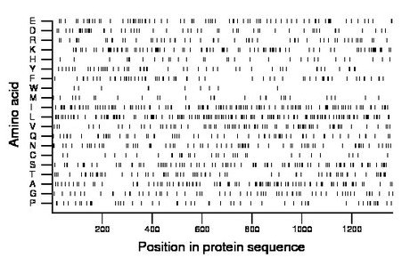 amino acid map