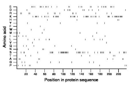 amino acid map