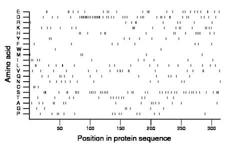 amino acid map