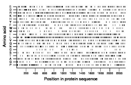 amino acid map