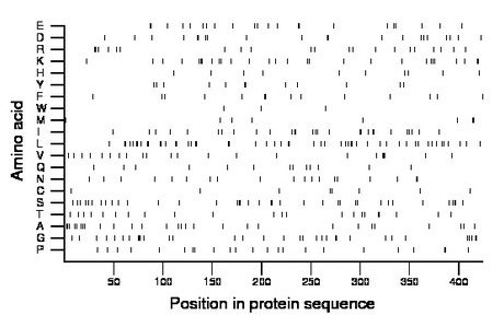 amino acid map