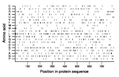 amino acid map