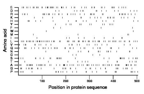 amino acid map