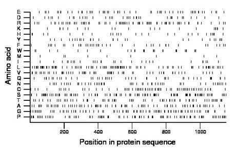 amino acid map