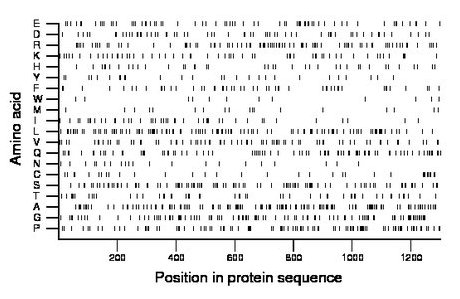 amino acid map