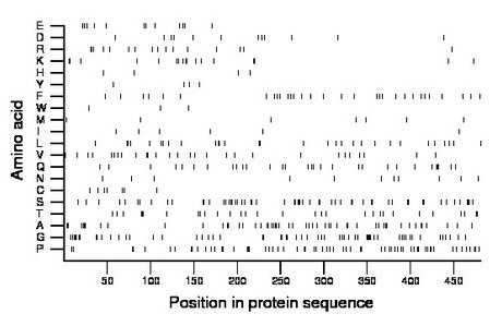 amino acid map