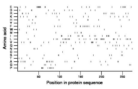 amino acid map