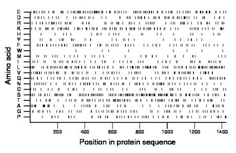 amino acid map