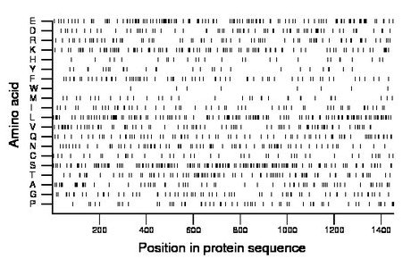 amino acid map