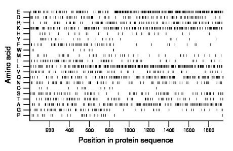 amino acid map