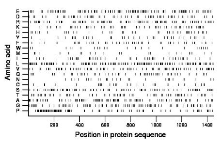 amino acid map