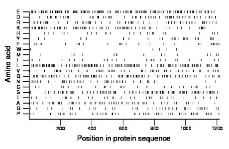 amino acid map