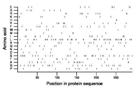 amino acid map