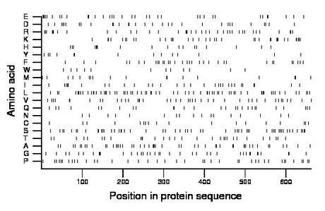 amino acid map