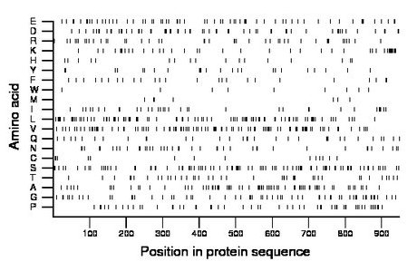 amino acid map