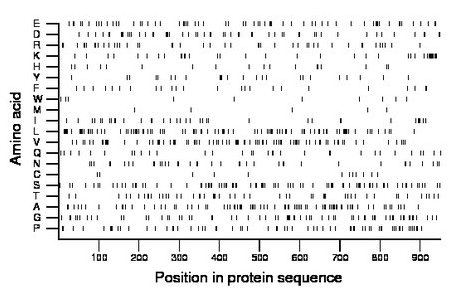 amino acid map