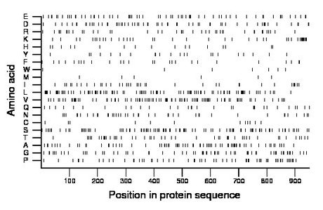 amino acid map