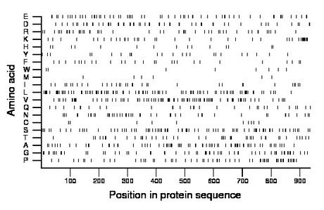 amino acid map