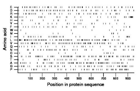 amino acid map