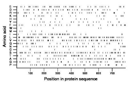 amino acid map