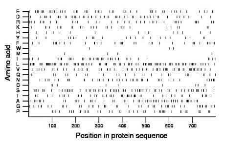 amino acid map