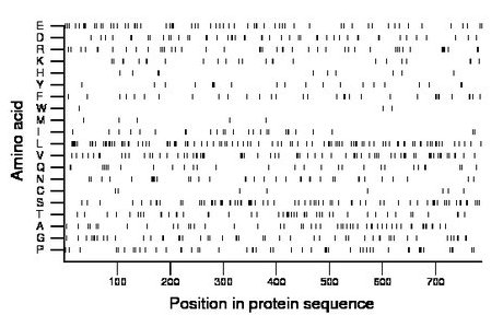 amino acid map