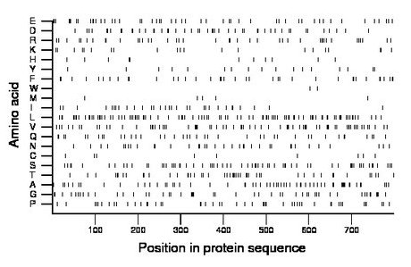 amino acid map