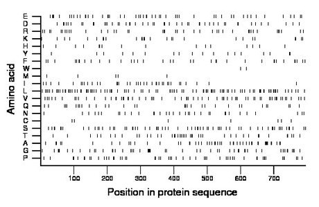 amino acid map