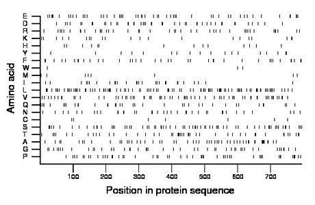 amino acid map