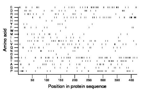 amino acid map